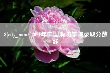 长宁2021年中国消防学院录取分数线