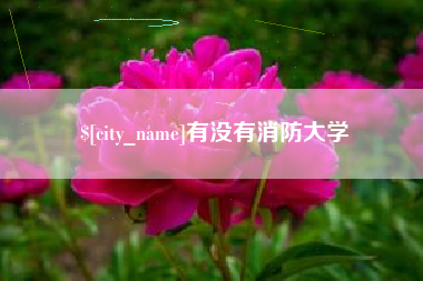 长宁有没有消防大学