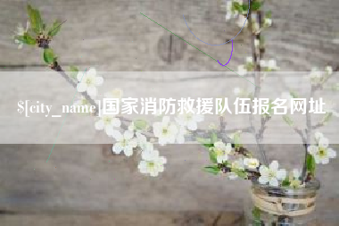 长宁国家消防救援队伍报名网址