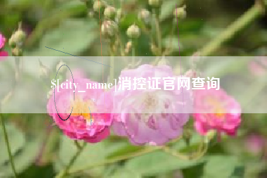 长宁消控证官网查询