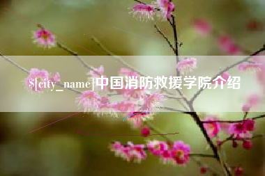 长宁中国消防救援学院介绍