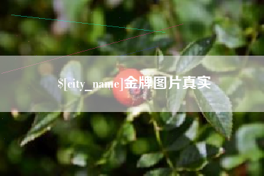 长宁金牌图片真实