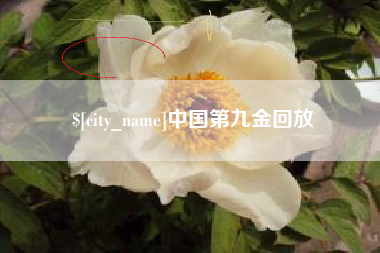 长宁中国第九金回放