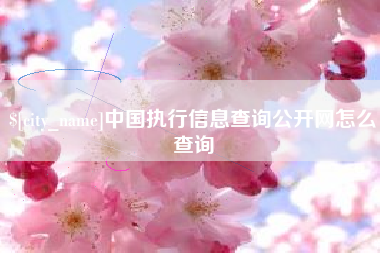 长宁中国执行信息查询公开网怎么查询