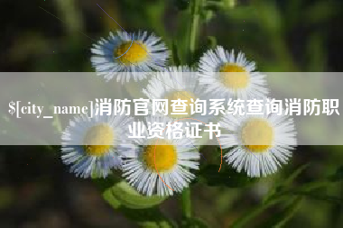 长宁消防官网查询系统查询消防职业资格证书