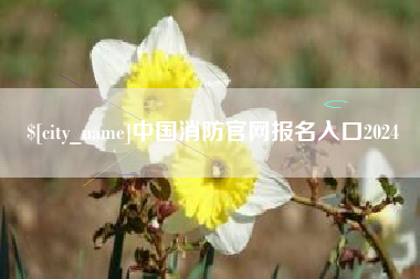 长宁中国消防官网报名入口2024