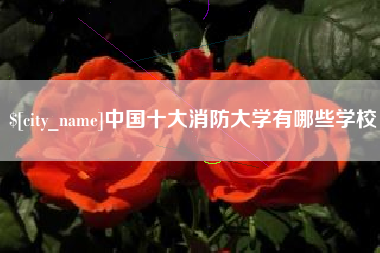 长宁中国十大消防大学有哪些学校