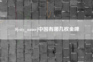 长宁中国有哪几枚金牌