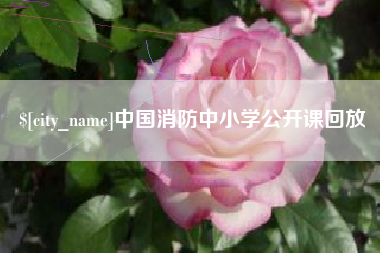 长宁中国消防中小学公开课回放