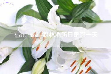 长宁森林消防日是哪一天
