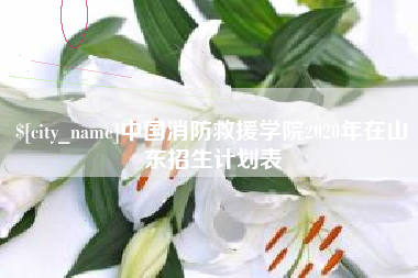 长宁中国消防救援学院2020年在山东招生计划表