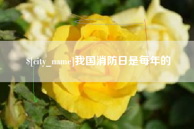 长宁我国消防日是每年的