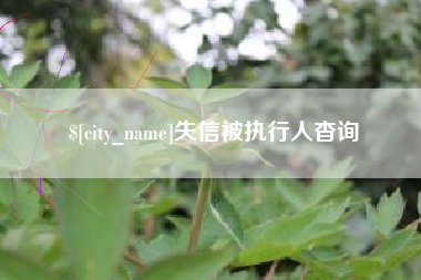 长宁失信被执行人杳询