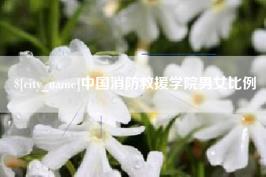 长宁中国消防救援学院男女比例