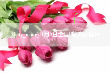 长宁11月9日全国消防日图片