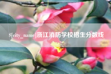 长宁浙江消防学校招生分数线