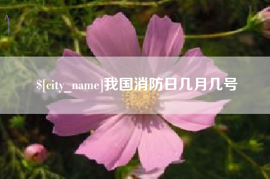 长宁我国消防日几月几号