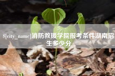 长宁消防救援学院报考条件湖南招生多少分