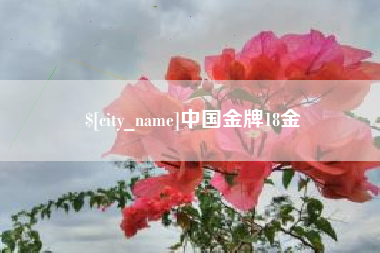 长宁中国金牌18金