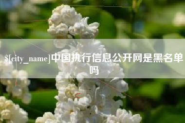长宁中国执行信息公开网是黑名单吗