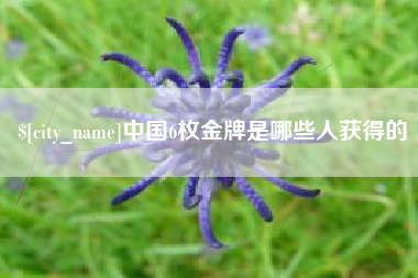 长宁中国6枚金牌是哪些人获得的