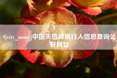 长宁中国失信被执行人信息查询公开网址