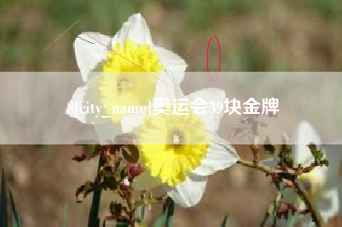 长宁奥运会39块金牌