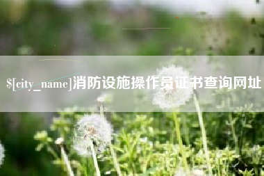 长宁消防设施操作员证书查询网址