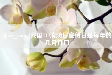 长宁我国119消防日宣传日是每年的几月几日