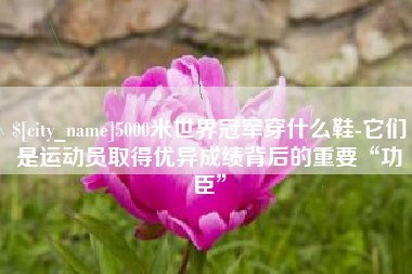 长宁5000米世界冠军穿什么鞋-它们是运动员取得优异成绩背后的重要“功臣”