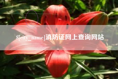 长宁消防证网上查询网站