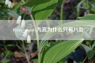 长宁九宫为什么只有八卦