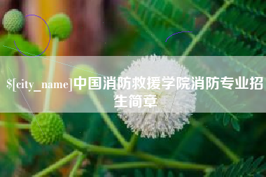 长宁中国消防救援学院消防专业招生简章