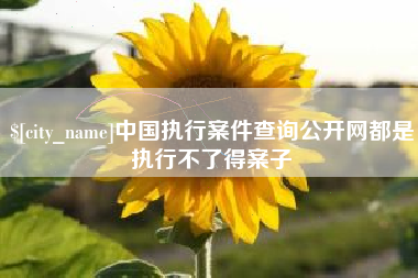 长宁中国执行案件查询公开网都是执行不了得案子