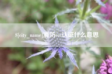 长宁消防ccc认证什么意思