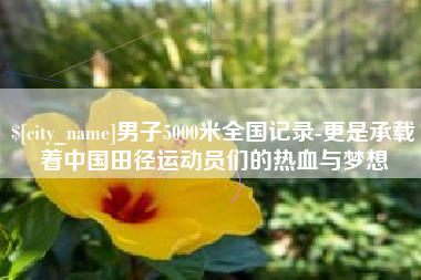 长宁男子5000米全国记录-更是承载着中国田径运动员们的热血与梦想