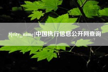 长宁中国执行信息公开网查询