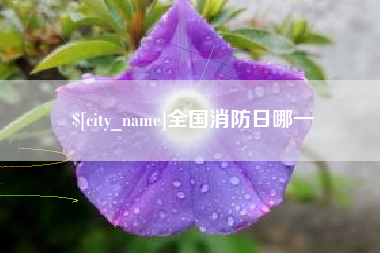 长宁全国消防日哪一