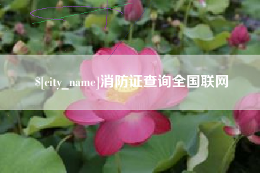长宁消防证查询全国联网
