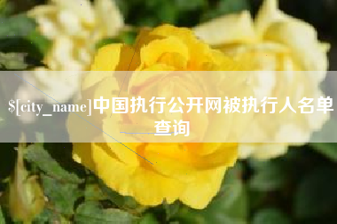 长宁中国执行公开网被执行人名单查询
