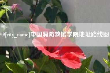 长宁中国消防救援学院地址路线图