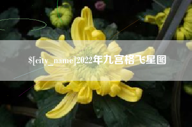 长宁2022年九宫格飞星图