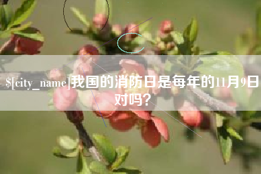 长宁我国的消防日是每年的11月9日对吗？