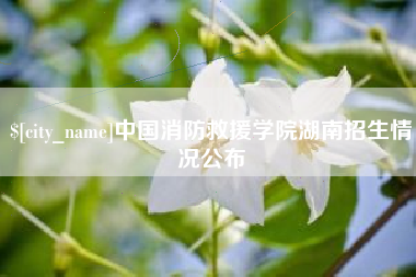 长宁中国消防救援学院湖南招生情况公布