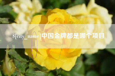 长宁中国金牌都是哪个项目