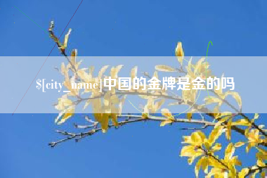 长宁中国的金牌是金的吗