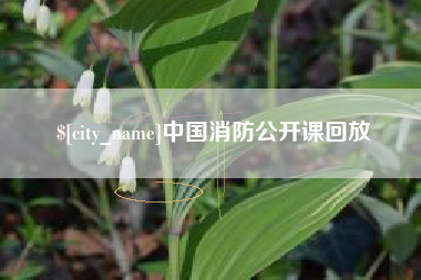 长宁中国消防公开课回放
