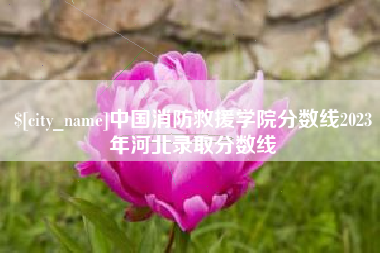 长宁中国消防救援学院分数线2023年河北录取分数线
