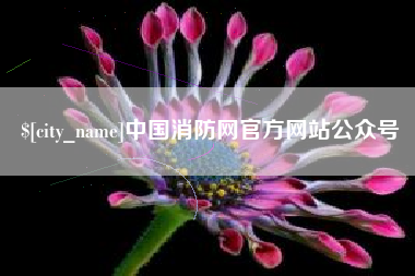长宁中国消防网官方网站公众号