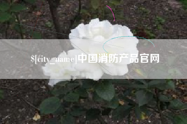 长宁中国消防产品官网